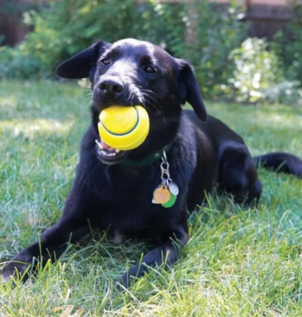 Kong Squeezz Tennis - Imagen 2