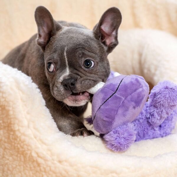 Kong Cozie Rosie Rhino - Imagen 2