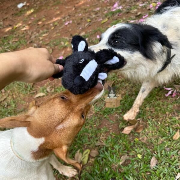 Kong Cozie Pocketz Skunk - Imagen 2