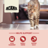 Acana Indoor Entree Cat - Imagen 4