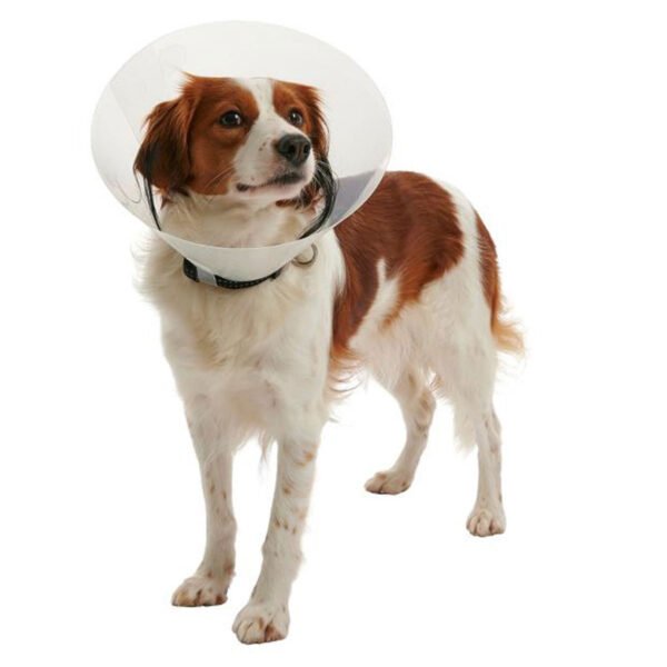 Comet Collar Isabelino para Perros y Gatos - Imagen 2