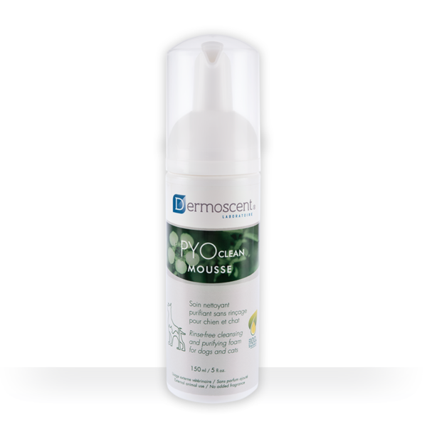 Dermoscent PYOclean Mousse para Perros y Gatos – 150ml