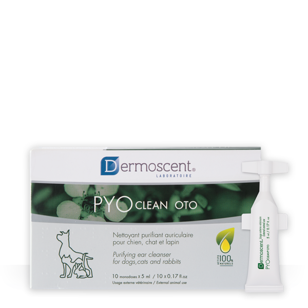 Dermoscent PYOclean Oto para Perros, Gatos y Conejos – Pack x 10 pipetas