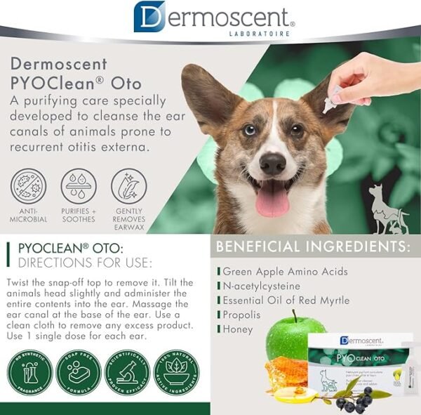 Dermoscent PYOclean Oto para Perros, Gatos y Conejos – Pack x 10 pipetas - Imagen 2