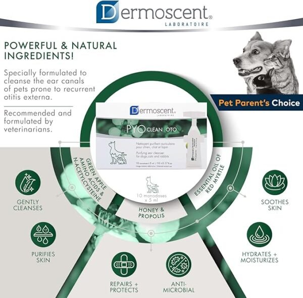 Dermoscent PYOclean Oto para Perros, Gatos y Conejos – Pack x 10 pipetas - Imagen 4