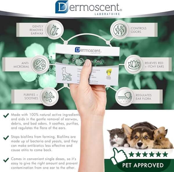 Dermoscent PYOclean Oto para Perros, Gatos y Conejos – Pack x 10 pipetas - Imagen 5