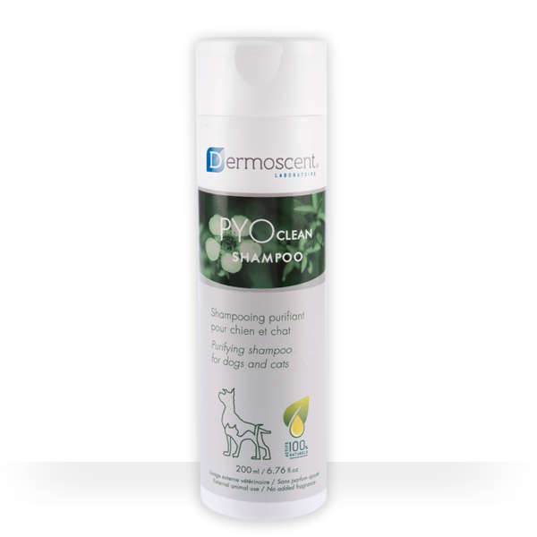 Dermoscent PYOclean Shampoo para Perros y Gatos – 200ml