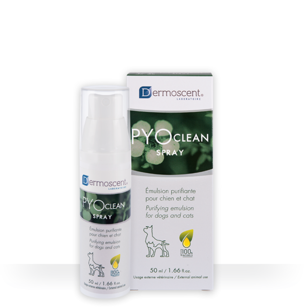 Dermoscent PYOclean Spray para Perros y Gatos – 50ml