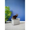 Moderna Arenero Top Cat - Imagen 4