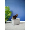 Moderna Arenero Top Cat - Imagen 8