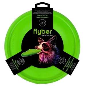 Flyber Disc