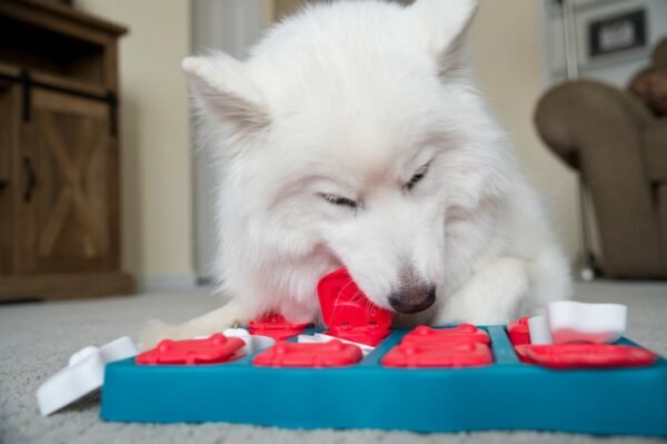 Nina Ottosson Dog Brick - Imagen 6