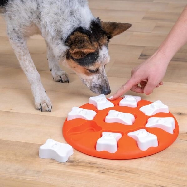 Nina Ottosson Dog Smart - Imagen 5