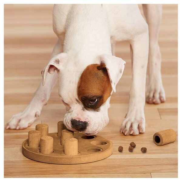 Nina Ottosson Dog Smart Composite - Imagen 6