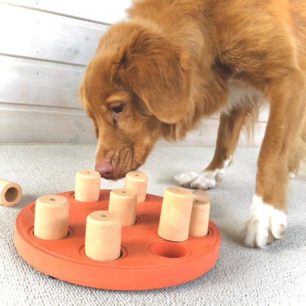 Nina Ottosson Dog Smart Composite Orange - Imagen 3