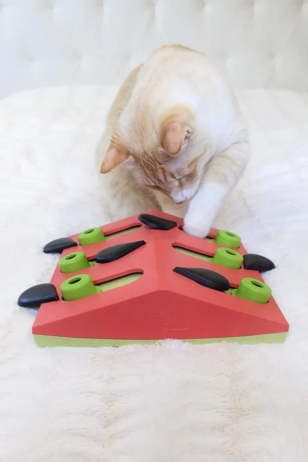 Nina ottosson Melon Madness Puzzle & Play - Imagen 3