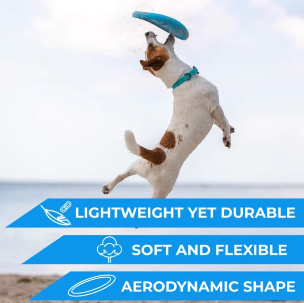 Pitch Dog – Flyer Disc - Imagen 5