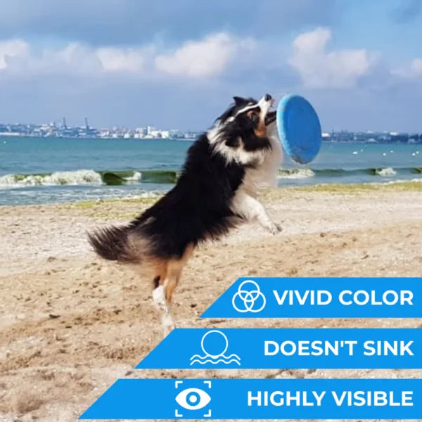 Pitch Dog – Flyer Disc - Imagen 4