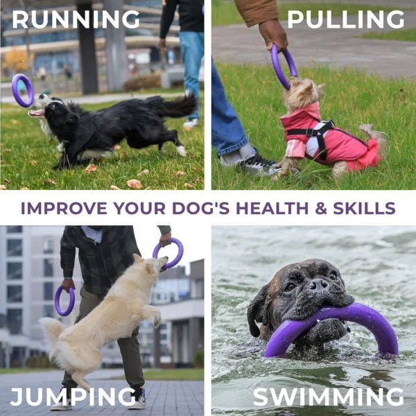 Puller Dog Toy - Imagen 3