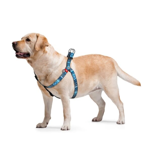 Waudog Arnés Etno Blue, Hebilla Fastex de Plástico + Placa QR - Imagen 2