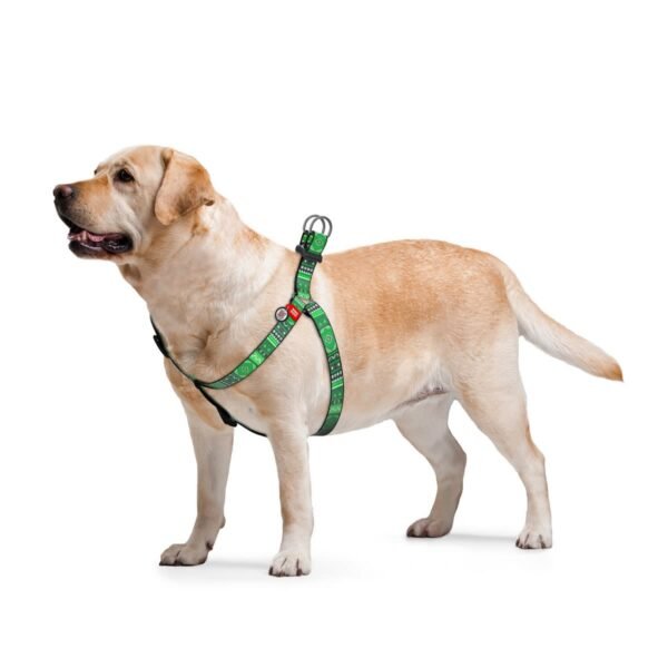 Waudog Arnés Etno Green, Hebilla Fastex de Plástico + Placa QR - Imagen 2