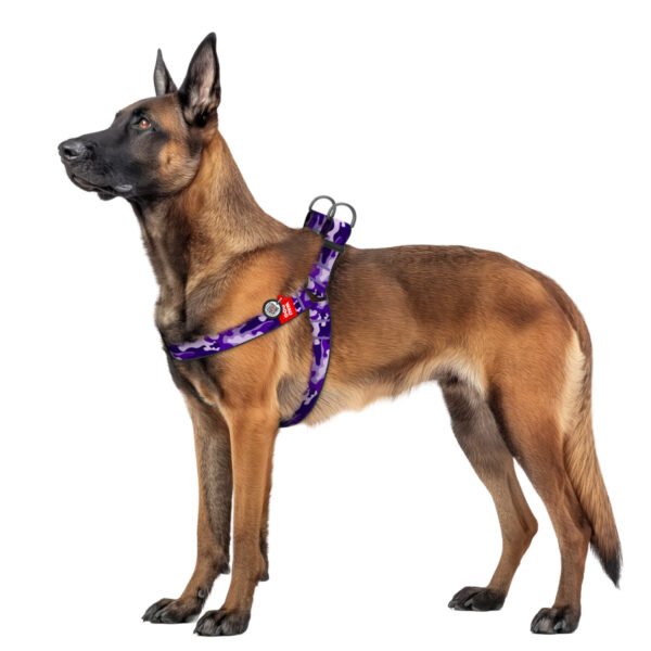 Waudog Arnés Purple Camo, Hebilla Fastex de Plástico + Placa QR - Imagen 2
