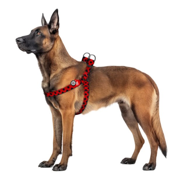 Waudog Arnés Red Tartan, Hebilla Fastex de Plástico + Placa QR - Imagen 2