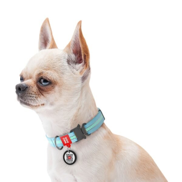 Waudog Collar Celeste Brilla en la Oscuridad, Hebilla Fastex de Metal + Placa QR - Imagen 2