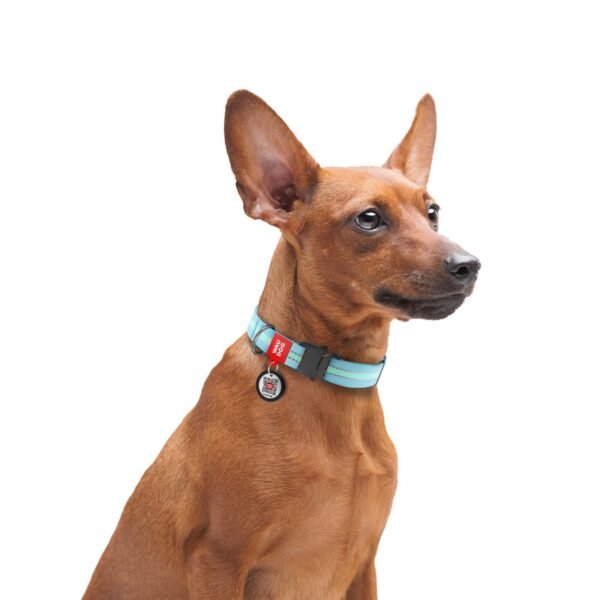 Waudog Collar Celeste Brilla en la Oscuridad, Hebilla Fastex de Metal + Placa QR - Imagen 3