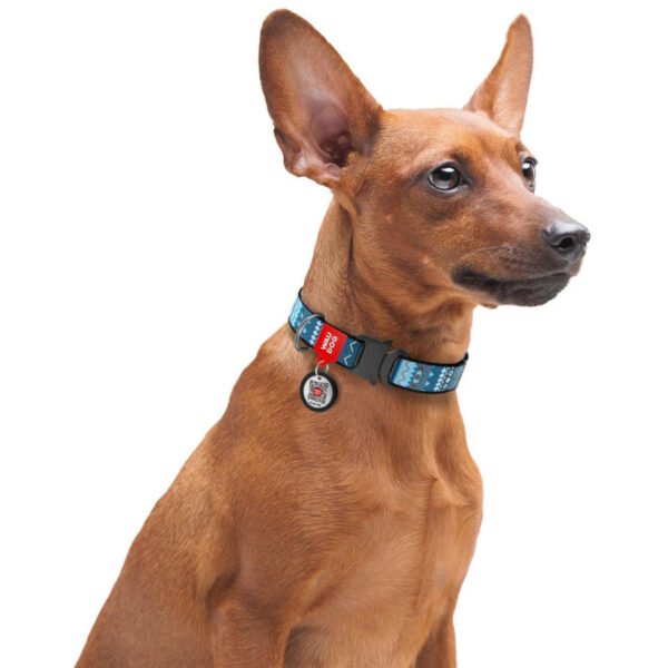 Waudog Collar Etno Blue, Hebilla Fastex de Metal + Placa QR - Imagen 3
