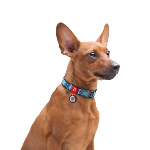 Waudog Collar Etno Blue, Hebilla Fastex de Plástico + Placa QR - Imagen 2