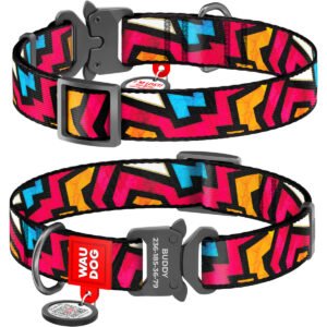 Waudog Collar Graffiti, Hebilla Fastex de Metal + Placa QR