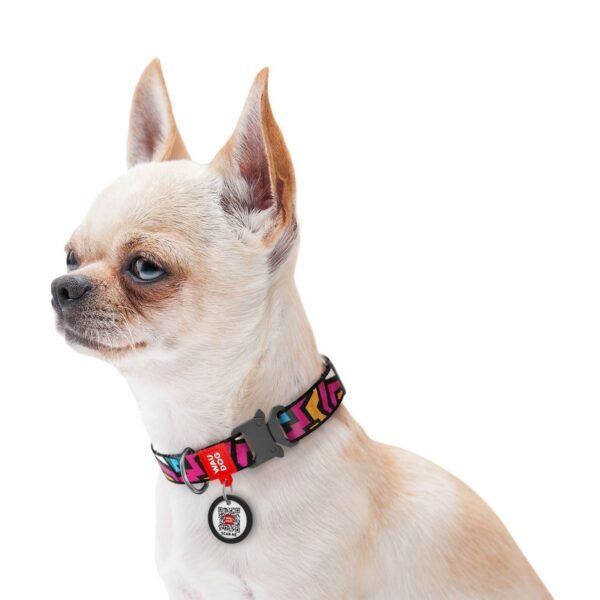 Waudog Collar Graffiti, Hebilla Fastex de Metal + Placa QR - Imagen 2