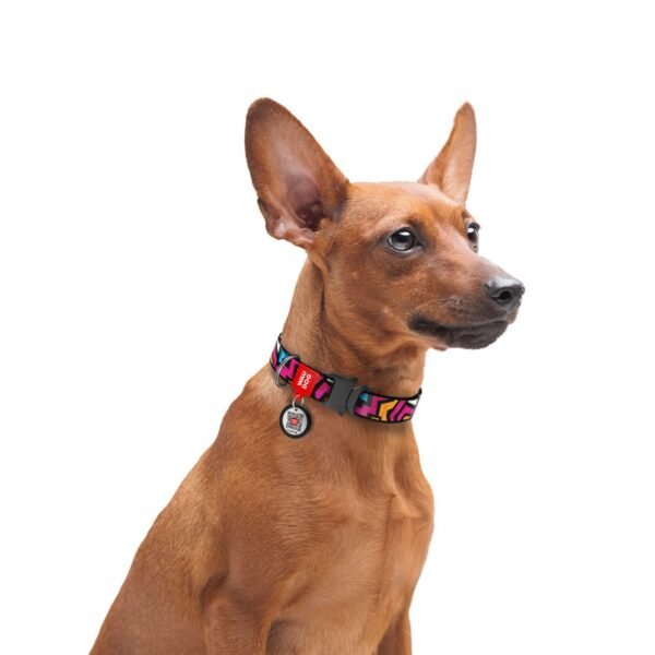 Waudog Collar Graffiti, Hebilla Fastex de Metal + Placa QR - Imagen 3