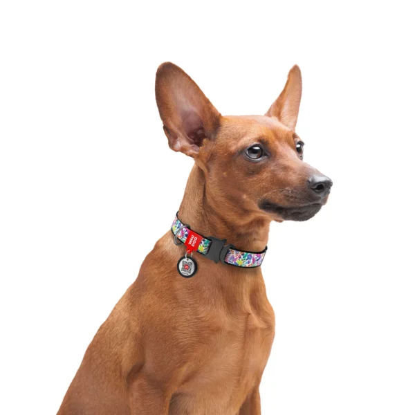 Waudog Collar Magic flowers, Hebilla Fastex de Metal + Placa QR - Imagen 2