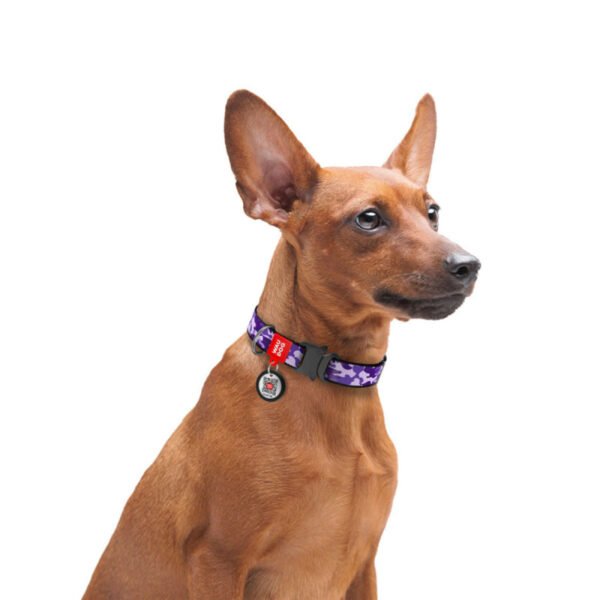 Waudog Collar Purple Camo, Hebilla Fastex de Metal + Placa QR - Imagen 2