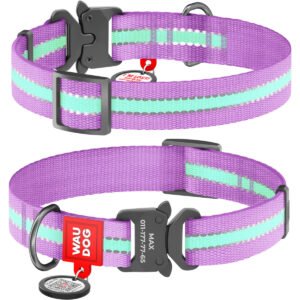 Waudog Collar Púrpura Brilla en la Oscuridad, Hebilla Fastex de Metal + Placa QR