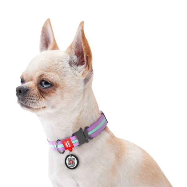 Waudog Collar Púrpura Brilla en la Oscuridad, Hebilla Fastex de Metal + Placa QR - Imagen 2