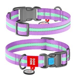 Waudog Collar Púrpura Brilla en la Oscuridad, Hebilla Fastex de Plástico + Placa QR