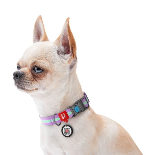Waudog Collar Púrpura Brilla en la Oscuridad, Hebilla Fastex de Plástico + Placa QR - Imagen 2