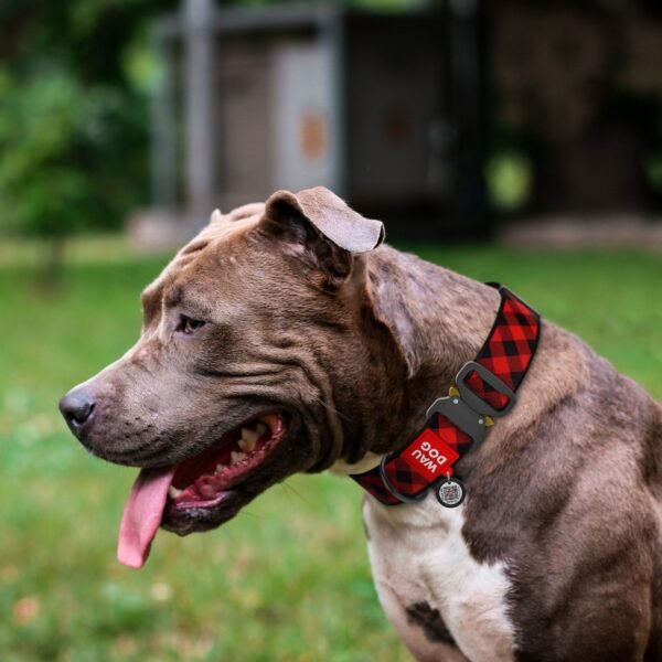 Waudog Collar Red Tartan, Hebilla Fastex de Metal + Placa QR - Imagen 2