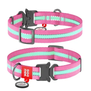 Waudog Collar Rosa Brilla en la Oscuridad, Hebilla Fastex de Metal + Placa QR