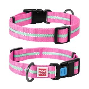 Waudog Collar Rosa Brilla en la Oscuridad, Hebilla Fastex de Plástico + Placa QR