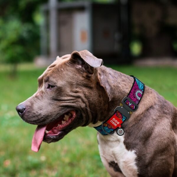 Waudog Collar Summer, Hebilla Fastex de Metal + Placa QR - Imagen 2