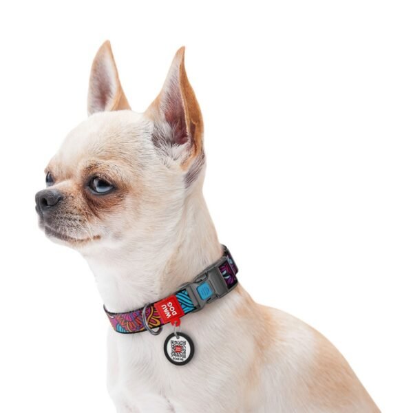 Waudog Collar Summer, Hebilla Fastex de Plástico + Placa QR - Imagen 2