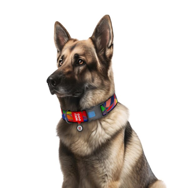 Waudog Collar Vitrage, Hebilla Fastex de Plástico + Placa QR - Imagen 2