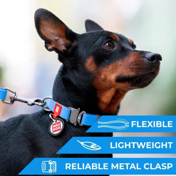 Waudog Collar Waterproof Azul, Hebilla Fastex de Metal + Placa QR - Imagen 5