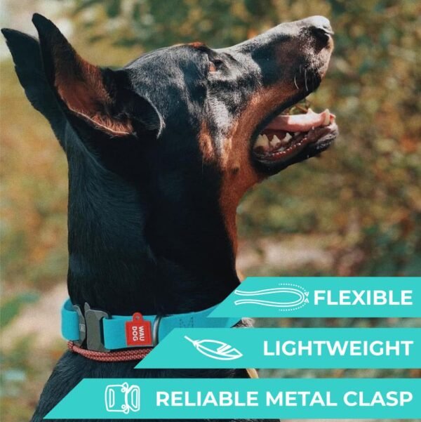 Waudog Collar Waterproof Mentol Brilla en la Oscuridad, Hebilla Fastex de Metal + Placa QR - Imagen 3