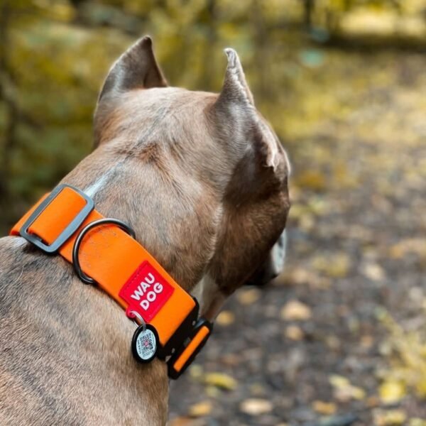 Waudog Collar Waterproof Naranja, Hebilla Fastex de Metal + Placa QR - Imagen 3
