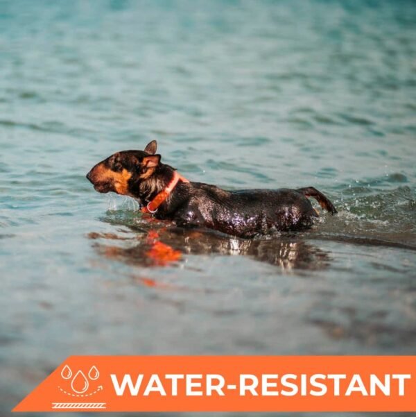 Waudog Collar Waterproof Naranja, Hebilla Fastex de Plástico + Placa QR - Imagen 2